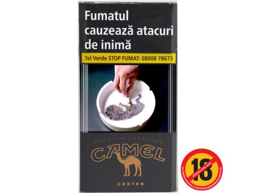 CAMEL CASTER