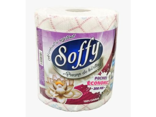 SOFFY PROSOP ROLA ECONOMIC
