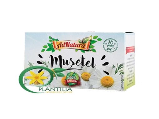 AD NATURA CEAI 20DOZE MUSETEL FLORI