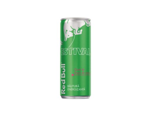 RED BULL 0.25L CACTUS