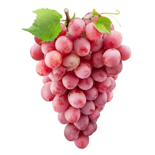 STRUGURI ROSII/ROZE CAL I /KG