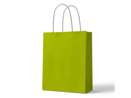 PUNGA CADOU 18X23X10CM VERDE