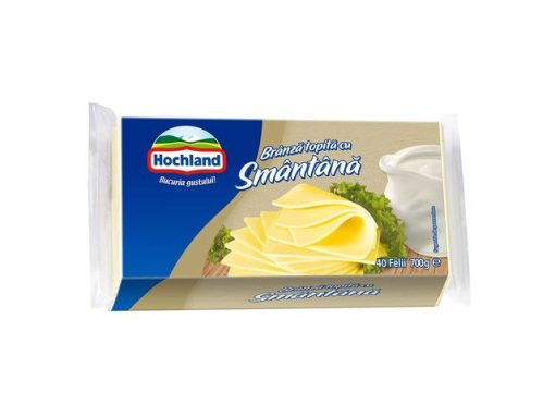 HOCHLAND BRANZA TOPITA 700GR SMANTANA 40FELII