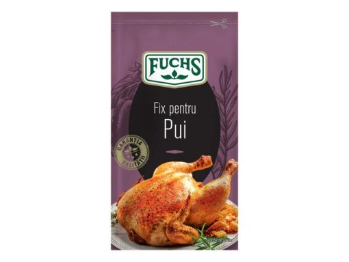 FUCHS CONDIMENTE FIX 25GR PUI