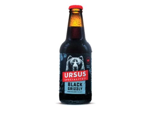 URSUS 0.33L NEAGRA STICLA