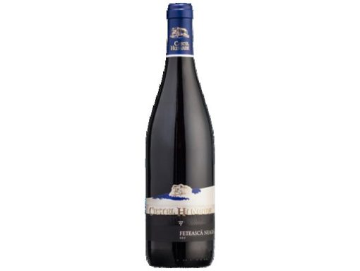 RECAS CASTEL H 0.75L FETEASCA NEAGRA SEC
