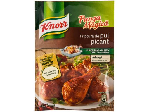 KNORR PUNGA MAGICA 29GR PUI PICANT
