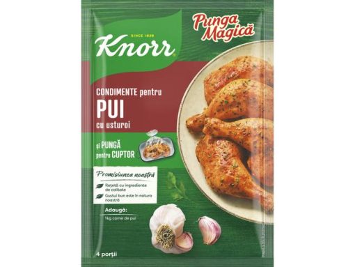 KNORR PUNGA MAGICA 28GR PUI/USTUROI