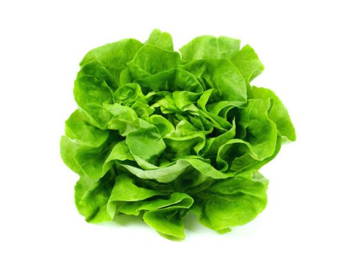 SALATA VERDE CAL I