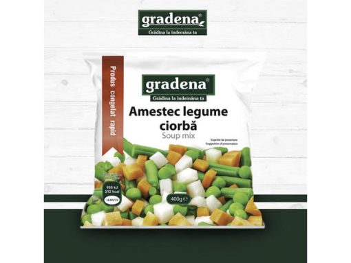 GRADENA AMESTEC 400GR CIORBA