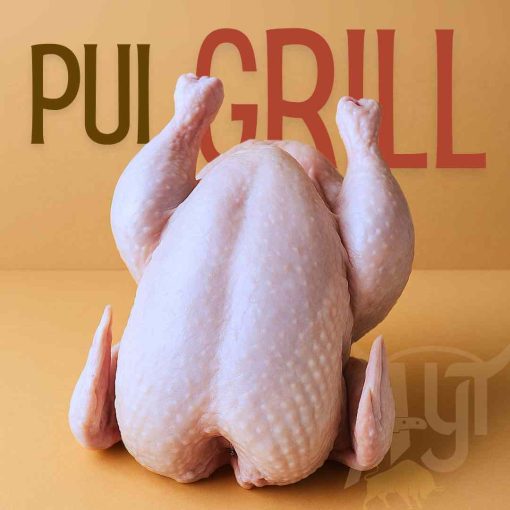 PDC PUI GRILL /KG