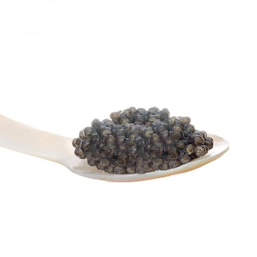 NEGRO ICRE SARATE FLYING FISH 50G NEGRE