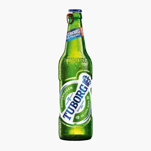 TUBORG 5% 20X0.5L