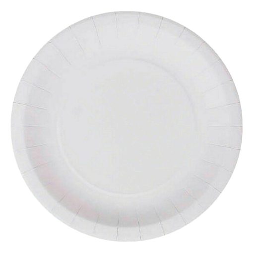 ALGON FARFURIE CARTON 20CM 25/SET