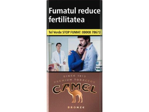 CAMEL BRONZE