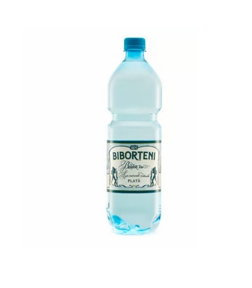 BIBORTENI APA 1L PLATA
